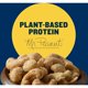 thumbnail image 3 of Dill Pickle Cashews, Whole Cashews, Individual Nuts Snack Packs, Party, Plant-Based Protein, Snack for Adults, After School snacks for Kids, Flavored Cashew, Kosher, 5oz Bag, 3 of 5
