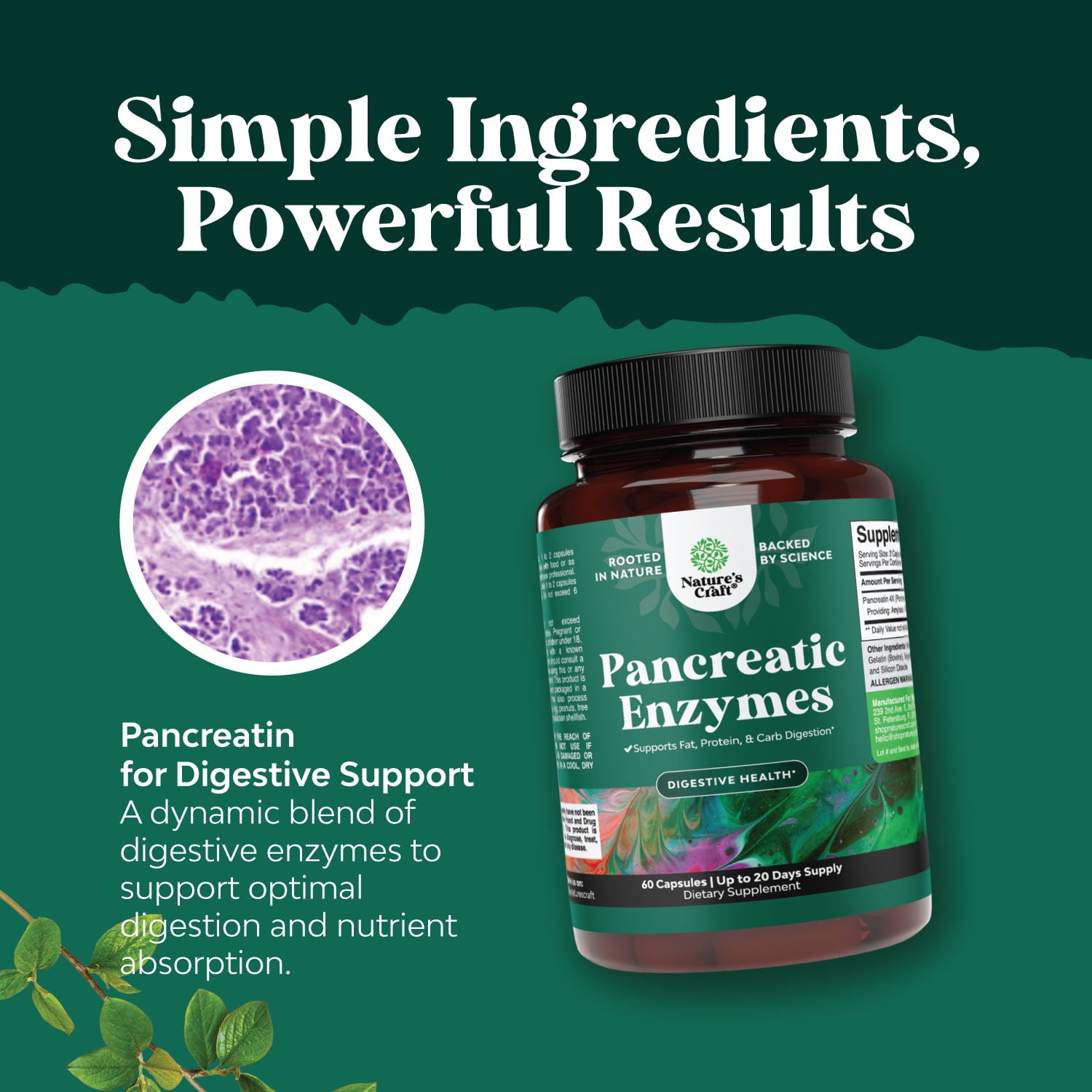 Natures Craft Pancreatic Digestive Enzymes Dietary Supplements for Digestive & Gut Health, 60 Capsules