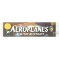 thumbnail image 4 of Aeroplanes: Aviation Ascendant, 4 of 5