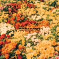 thumbnail image 1 of Brendan Canding Maison Ruiner Années [Digipak] CD, 1 of 1