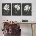 thumbnail image 2 of Stupell Industries Fable Lotus White Floral Bloom Graphic Art Black Framed Art Print Wall Art, Set of 3, Design by Nina Blue, 2 of 8