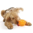 thumbnail image 2 of Planet Dog Orbee-Tuff Snoop Interactive Treat Dispensing Dog Toy, Large, Orange, 2 of 9