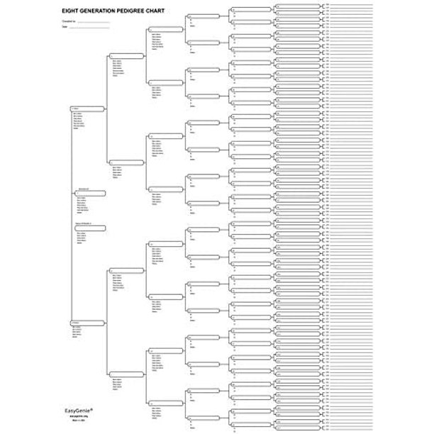 Pedigree Chart (8 generations/256 names) by EasyGenie, single sheet -  Walmart.com