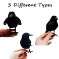 thumbnail image 2 of 3/6Pcs Halloween Black Crow Model Simulation Fake Bird Animal Scary Toys For Halloween Party Home Decoration Horror Props, 2 of 5