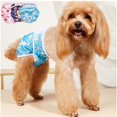 thumbnail image 1 of Pañales para perros con hebilla, pantalones menstruales, pantalones fisiológicos antiacoso, pañales para mascotas, suministros para perros, 1 of 5