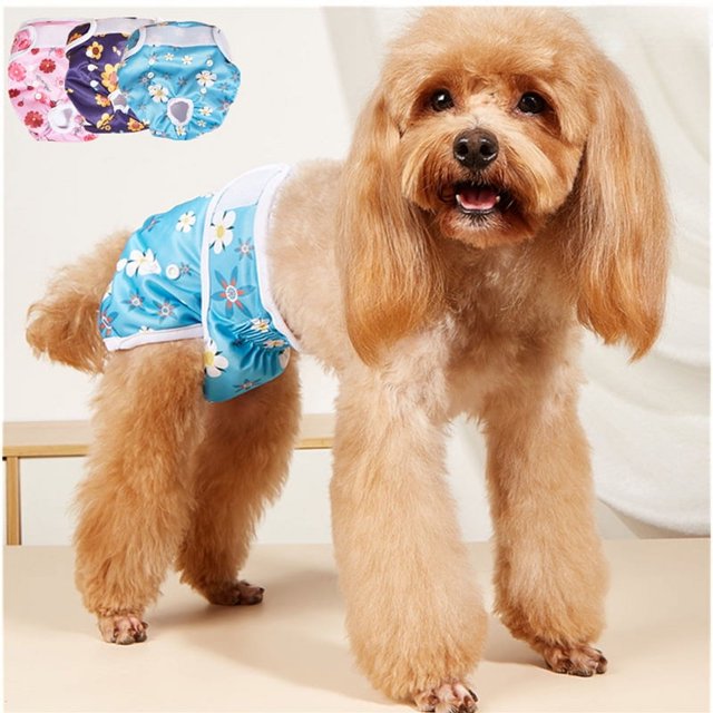 Pañales para perros con hebilla, pantalones menstruales, pantalones fisiológicos antiacoso, pañales para mascotas, suministros para perros