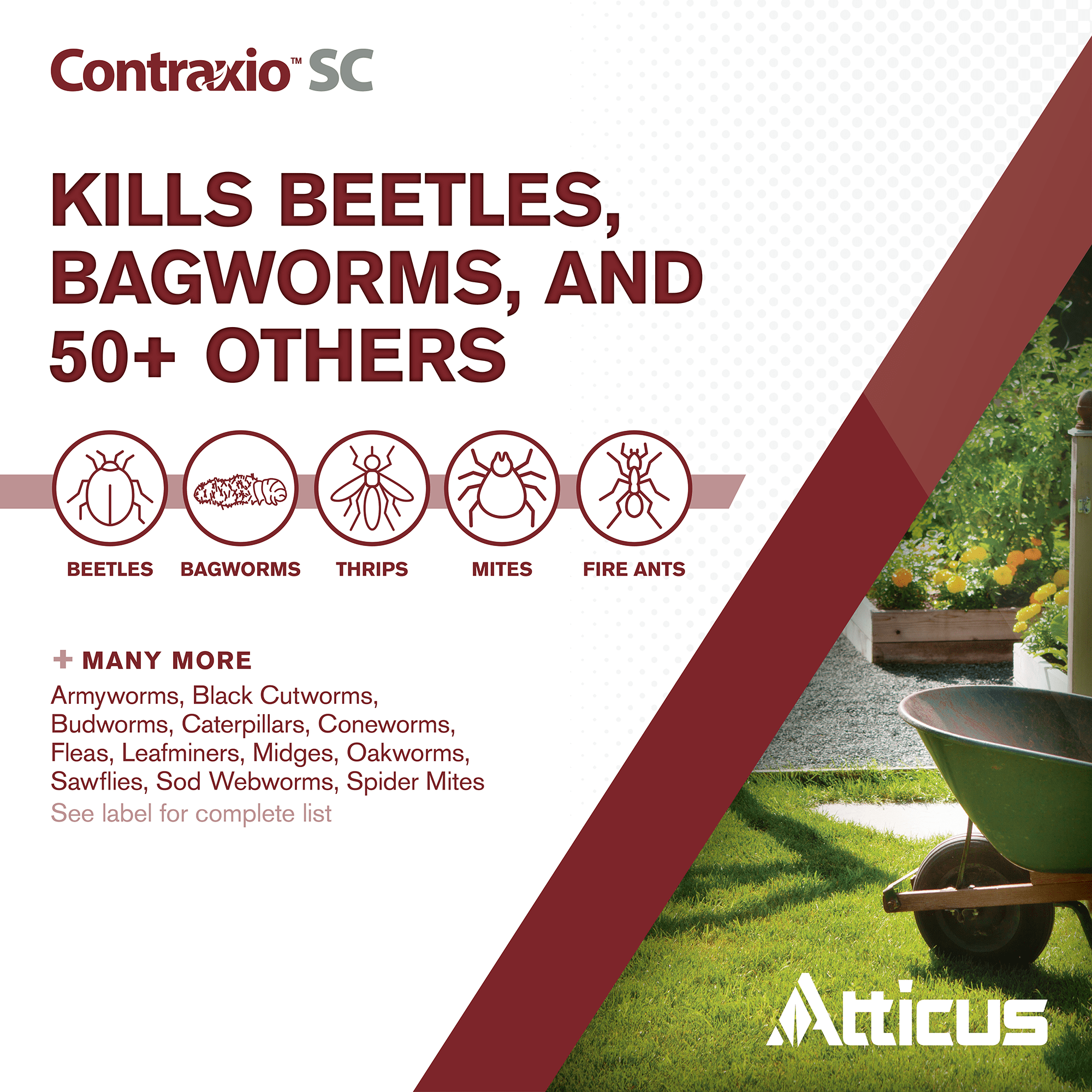 Contraxio SC Insecticide with Spinosad (32 OZ) Natural Pest Control for Lawn, Landscapes and Gardens by Atticus