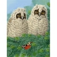 thumbnail image 1 of Carolines Treasures ASA2126GF Owlets Flag Garden Size, 1 of 3