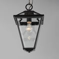 thumbnail image 2 of Maxim Lighting - Prism - 1 Light X-Large Outdoor Pendant-16 Inches Tall and 9, 2 of 4