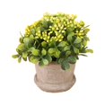 thumbnail image 2 of CNKOO Artificial Flower Pot Mini Plastic Table Simulation Bonsai Indoor Decor Fake Pot Flower, 2 of 10