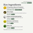 thumbnail image 4 of Petlab Co. - ProBright Dog Dental Powder – Innovative Dog Teeth Cleaning - Tailored for Extra Small Sized Dogs, 4 of 8