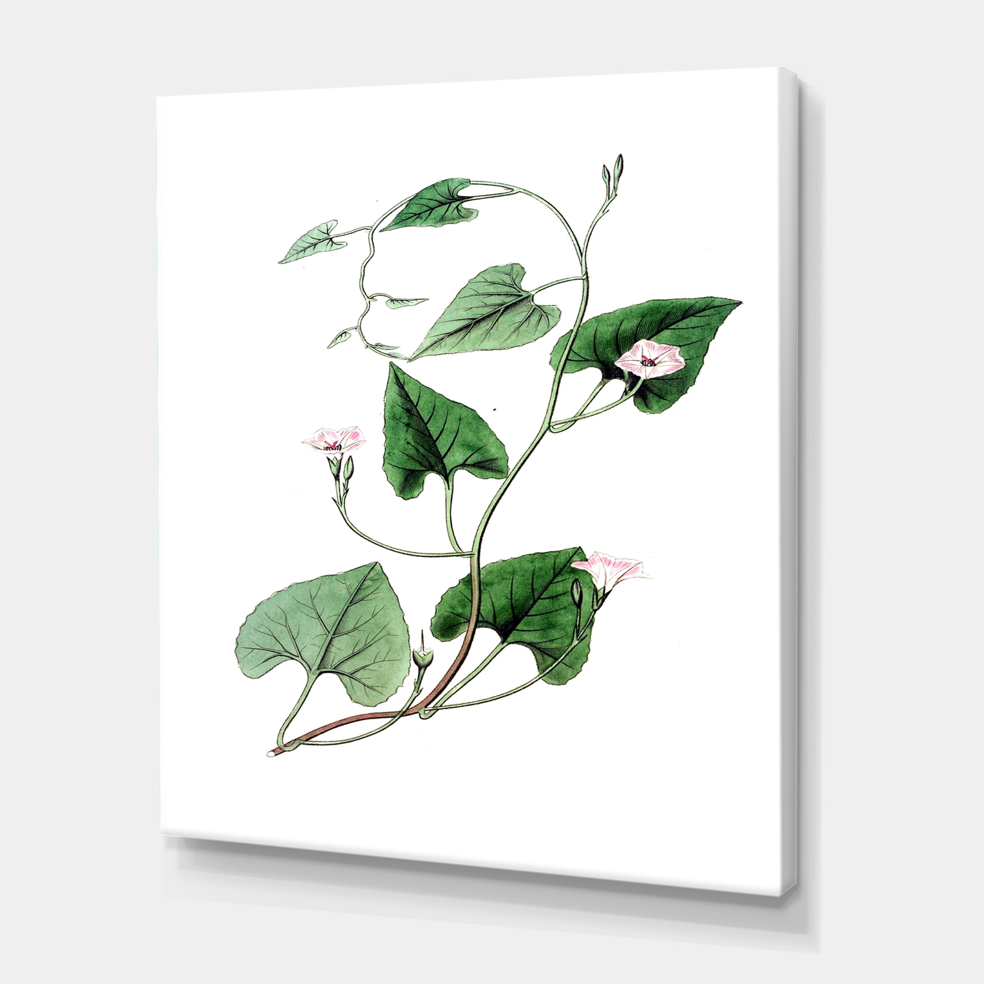 Designart ' Ancient Green Leaves Plants IX ' Traditional Canvas Wall Art Print