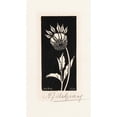 thumbnail image 3 of Julie de Graag 15x24 Black Modern Framed Museum Art Print Titled - Dahlia (1920), 3 of 5