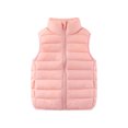 thumbnail image 1 of Gilet Sans Manches pour Enfants, Mélange de Polyester avec Fermeture Éclair et Poche avant, Design Col Rond, Noir, Taille 110 cm, 1 of 6