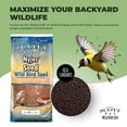thumbnail image 2 of Semilla para aves silvestres Scott Pet Nyjer, bolsa de 3,6 kg, 2 of 6