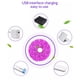 thumbnail image 5 of Naiovety LED Full Phyto Lamp USB 5V Grow 0.5m 1m 2m 2835 SMD Plantas Flores LED Invernadero Cultivo Hidropónico Jardín y Patio 0.5 m, 5 of 6