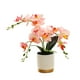 thumbnail image 5 of Flor Artificial de orquídeas de imitación, decoración realista, arreglo de flores, plantas en macetas, decoraciones de bonsái para dormitorio de boda , Rosa Macarena bonsais artificiales, 5 of 8