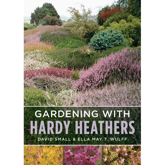 Gardening with Hardy Heathers, (Paperback)