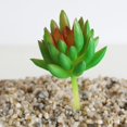 thumbnail image 1 of Planta Artificial De 3,54 Pulgadas #11 #12 Macarena Planta suculenta artificial, 1 of 8