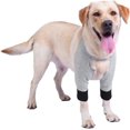 thumbnail image 1 of Manchon de Récupération pour Chiens, Coudières Élastiques pour Chiens, Soulage l'Anxiété pendant le(s) Récupération(s), 1 of 5