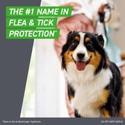 FRONTLINE Plus for Dogs Flea & Tick Medium Breed Dog Spot Treatment, 23 - 44 lbs, 3 Count