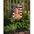 thumbnail image 2 of Carolines Treasures BB9706GF Cocker Spaniel Patriotic Garden Flag, 2 of 3