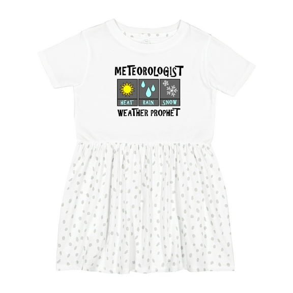 Inktastic Meteorologist Weather Prophet Girls Toddler Dress