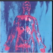 Nirvana - Sliver - Music & Performance - Vinyl [7-Inch]