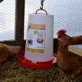 thumbnail image 2 of Heated Chicken Waterer, Hanging Poultry Water Fountain, 3 Gallon, Red - Plastic Water Dispenser with Heater for Chicks, Chickens, and Livestock, 2 of 8