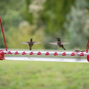 Hummingbird Feeder Tube for Outdoors Bird Feeder Stand Hummingbird Feeders for Outdoor Patio Garden Yard Window Deck (19.6 Inch)