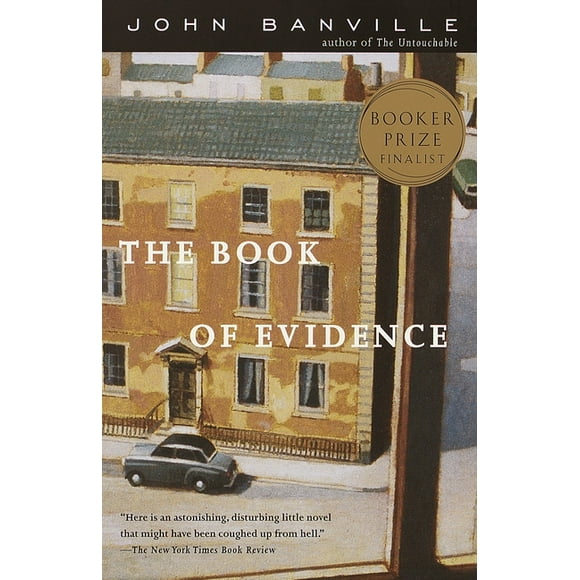 Vintage International: The Book of Evidence (Paperback)