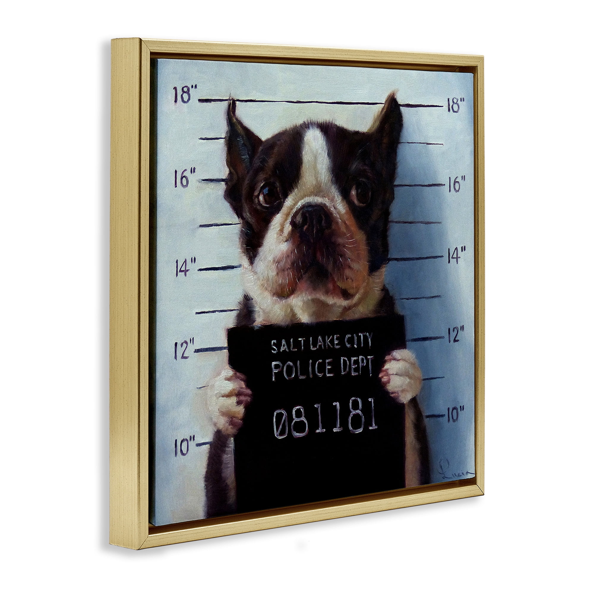 Stupell Industries Boston Terrier Jail Convicted Mugshot Animals & Insects Painting Gold Floater Framed Canvas Art Print Wall Art, 18 x 18