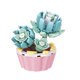 thumbnail image 1 of Bloques de construcción ZTGD Planta en maceta Multi-estilos Conjunto educativo DIY Bloques de construcción de escritorio Maceta Flor Suculenta Juguete Regalo para niñas, 1 of 8