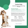 thumbnail image 4 of Alimento para perros Canine Kelp Holistic Bin Sea Kelp, 50 g, 4 of 7