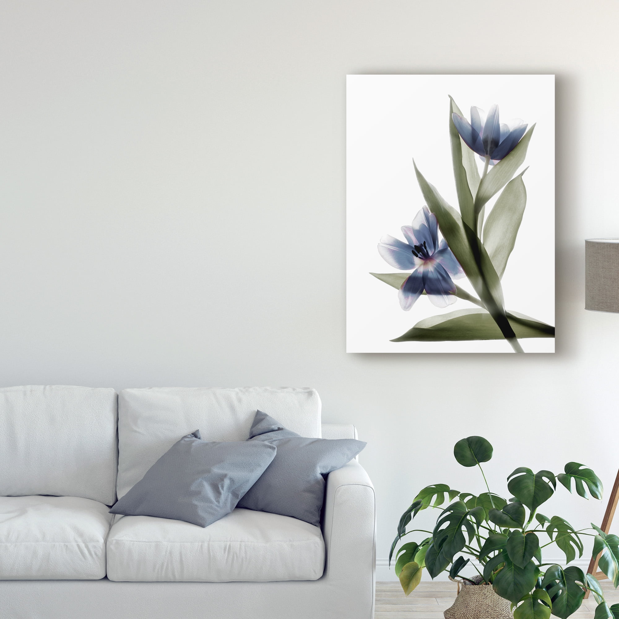Trademark Fine Art 'Xray Tulip VI' Canvas Art by Judy Stalus
