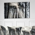 thumbnail image 5 of Design Art Sunbeams through Black White Forest Photographic Print on Wrapped Canvas, 5 of 6