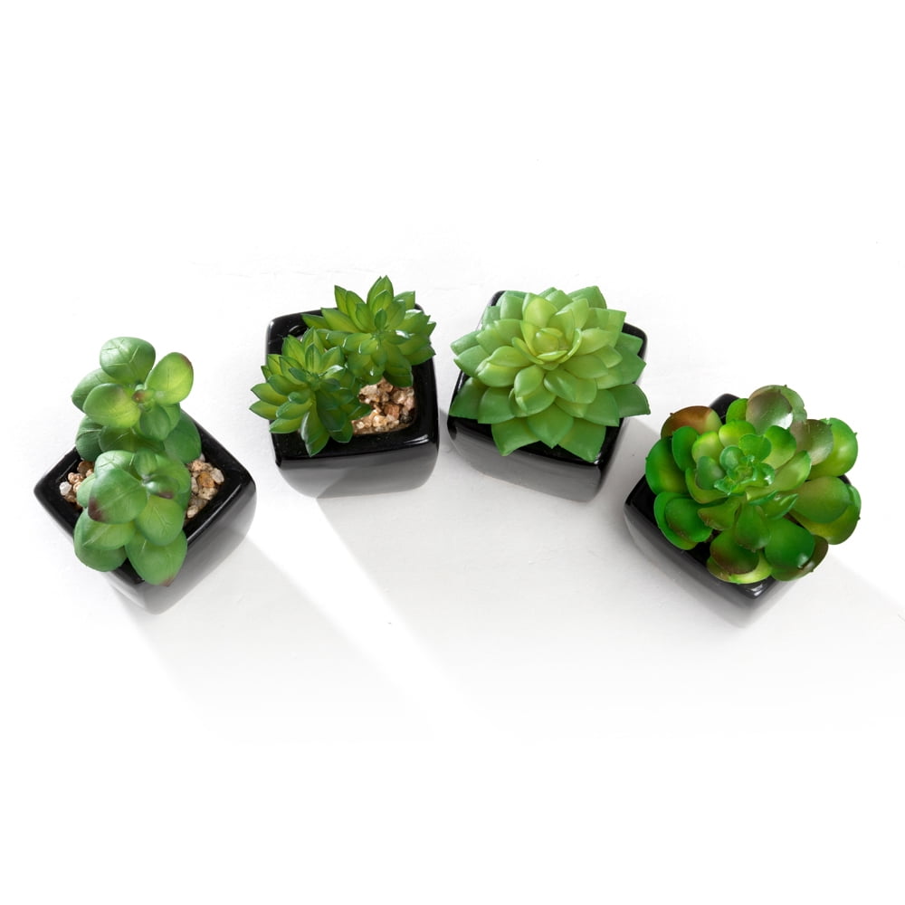 K-Cliffs Set of 4 Mini Artificial Succulents Potted in Cube-Shape Black Ceramic Pots , Dimensions(in inches):  11.0L x 3.0W x 4.3H"