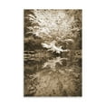thumbnail image 2 of Gango Home Decor Fall Bouquet I Sepia by Vitaly Geyman (Printed on Paper); One 24x36in Fine Art Paper Giclee Print, 2 of 4