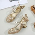 thumbnail image 3 of Toddler Little Girls Princess Cosplay Performance Shoes Sequins Wedding Party Dress Shoes Heels Mary Jane, 3 of 7