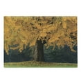 thumbnail image 1 of Tree Cutting Board, Old Tree with Leaves During Fall Evergreen Forest at the Back Seasonal Art, Decorative Tempered Glass Cutting and Serving Board, Large Size, Earth Yellow Brown, by Ambesonne, 1 of 1