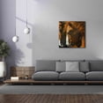 thumbnail image 4 of Epic Graffiti 'Secrets' by Julie Bel, Canvas Wall Art, 37"x37", 4 of 8