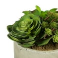 thumbnail image 3 of Vickerman 8" Artificial Succulent Arrangement., 3 of 8