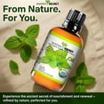 thumbnail image 6 of Mayan's Secret Spearmint Essential Oil 30 mL for Diffuser, Home & DIY Use, 6 of 8