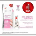 thumbnail image 4 of Eveline Cosmetics Nail Therapy Maximum Nail Growth Quickener, 4 of 7