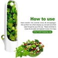thumbnail image 3 of Cápsula Herb Keeper para almacenamiento de productos frescos en el refrigerador, 3 of 5