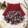 thumbnail image 4 of NZRVAWS Newborn Baby Girl Romper Lace Ruffle Long Sleeve Floral Skirt Jumpsuit Bodysuit One Piece Baby Girl Clothes 3-6 Months, 4 of 9