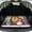 Winter Snowman Print, variant on HUISEFOR Christmas Tree Car Trunk Mat 29" x 39" Non-Slip Anti-Scratch Cargo Mat Rear Trunk Liner Full Protection Vehicle Interior Accessories Suitable for Most Cars SUV