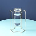 thumbnail image 1 of Flower Vase with Metal Stand Hydroponic Plant Flower Vase for Kitchen Office Decor, 1 of 4