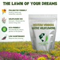 thumbnail image 5 of Earthwise Western Wonders Wildflower Seed Mix, 1 oz, Attracts Bees & Butterflies, Native & Easy-Grow, Covers 150 sq. ft., 5 of 10