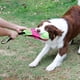 thumbnail image 3 of Ficticio Para Adiestramiento de mascota Para Golosinas Para Mascotas Bolsas Para Refrigerios Para Resistentes A Las Mordeduras Yinane Bolsas de entrenamiento para golosinas para perros, 3 of 8
